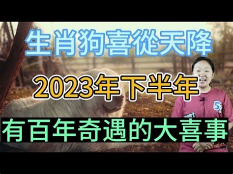 2023屬狗買房|【82年屬狗風水樓層】82年屬狗買房子方位注意規避一些不吉方。